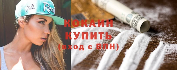 соль ск Алексин