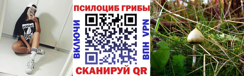 Псилоцибиновые грибы ЛСД  наркотики  Обоянь 